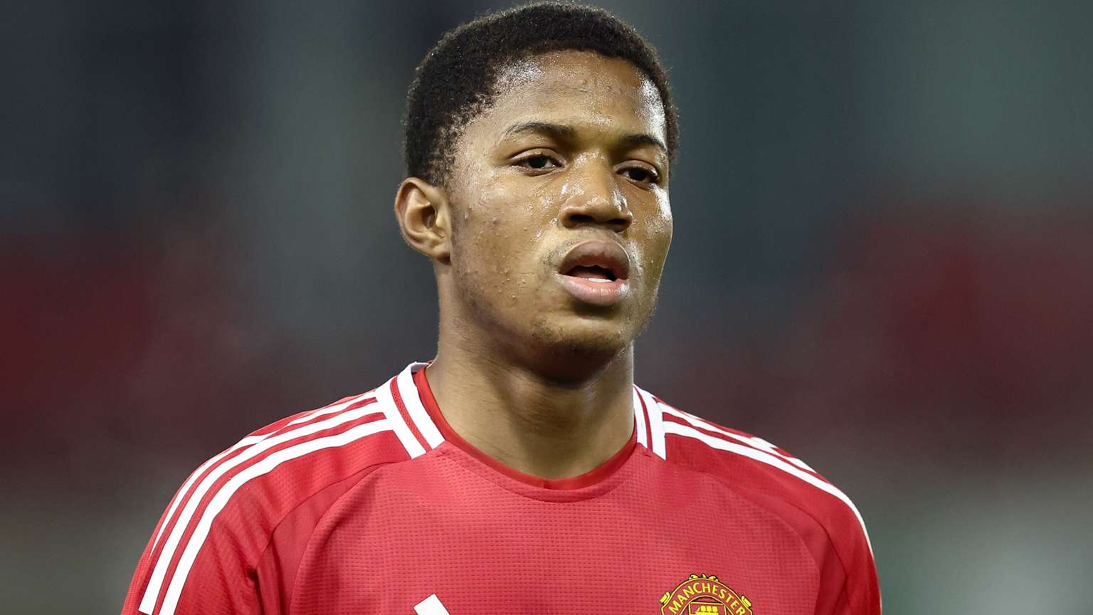 年轻球员的 年轻球员的