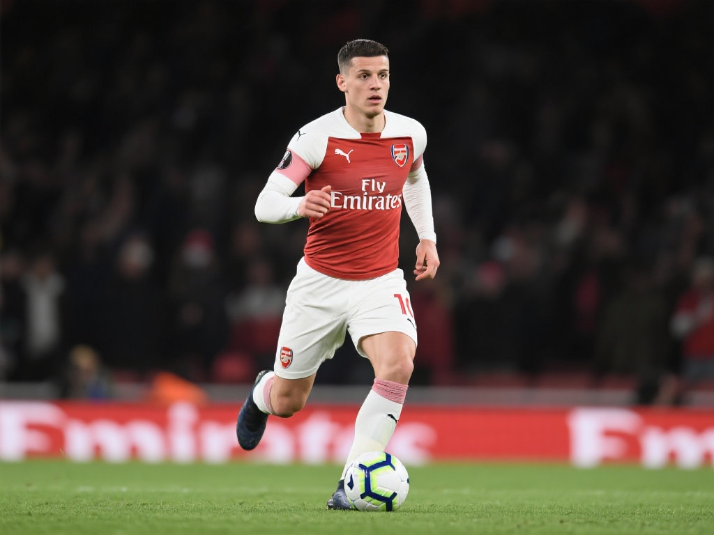 球迷的支持 球迷的支持